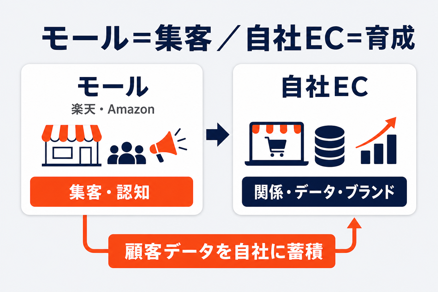 モールと自社ECの役割分担を示す図。モール（楽天・Amazon）は集客・認知、自社ECは関係・データ・ブランドを担い、顧客データを自社に蓄積する流れを示す。