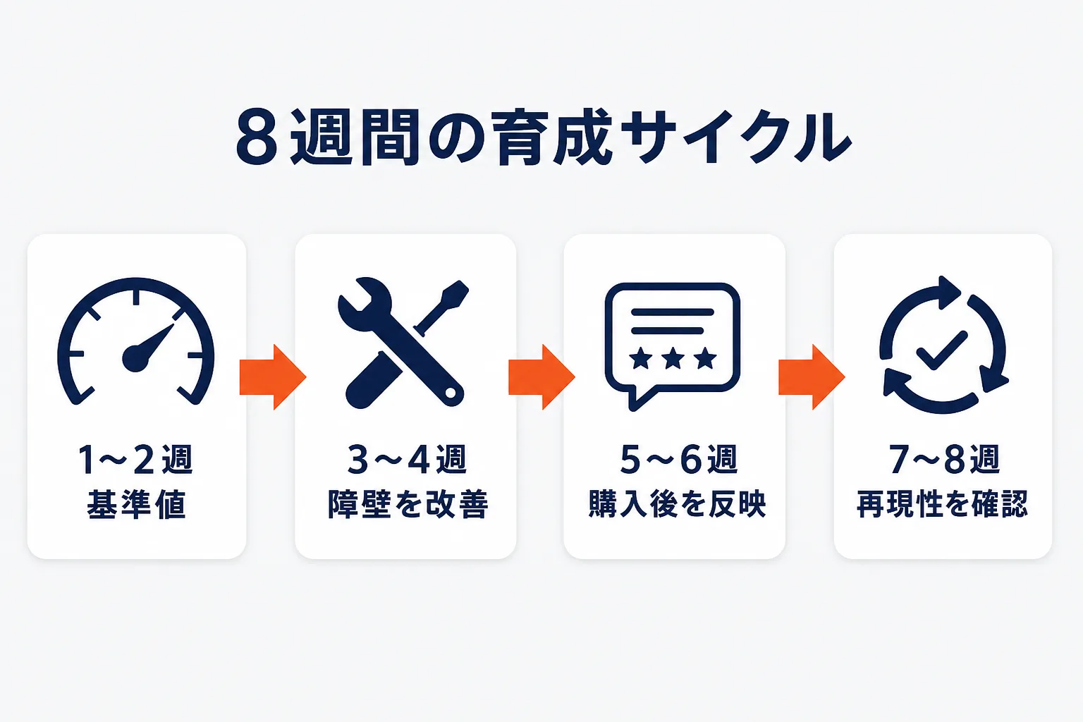 売れ筋を育てる8週間の進め方を示す図解